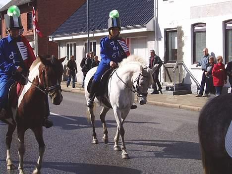 DSP | Melissa billede 14