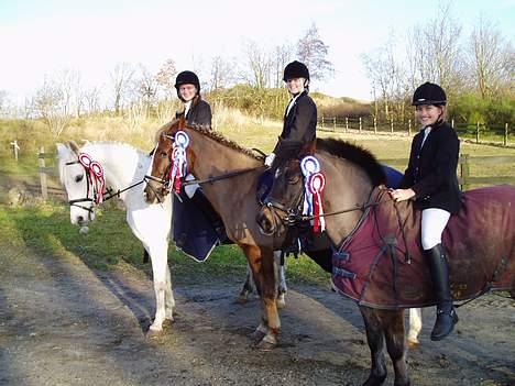 DSP | Melissa billede 15