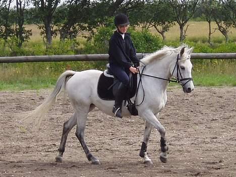 DSP | Melissa billede 16