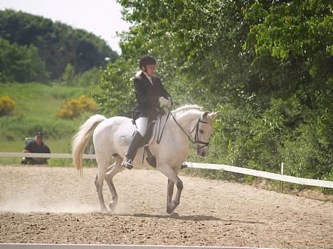 DSP | Melissa billede 17