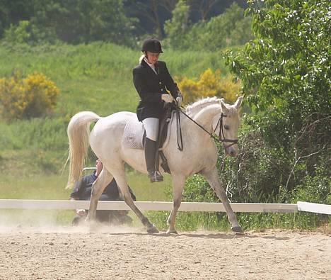 DSP | Melissa billede 18