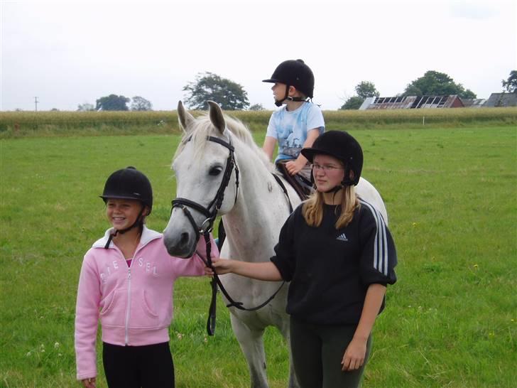 DSP | Melissa billede 19