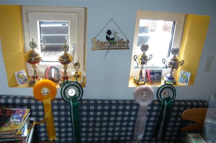 Fjordhest Heebølls Tiny * SOLGT - Tiny´s Velfortjente Pokaler, Medaljer og Guld, Sølv og "Bronze" rosetter. billede 13