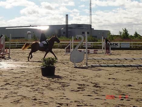 DSP Patricia*Solgt*Efterlyses - Vores første stævne.. Begynder  billede 5