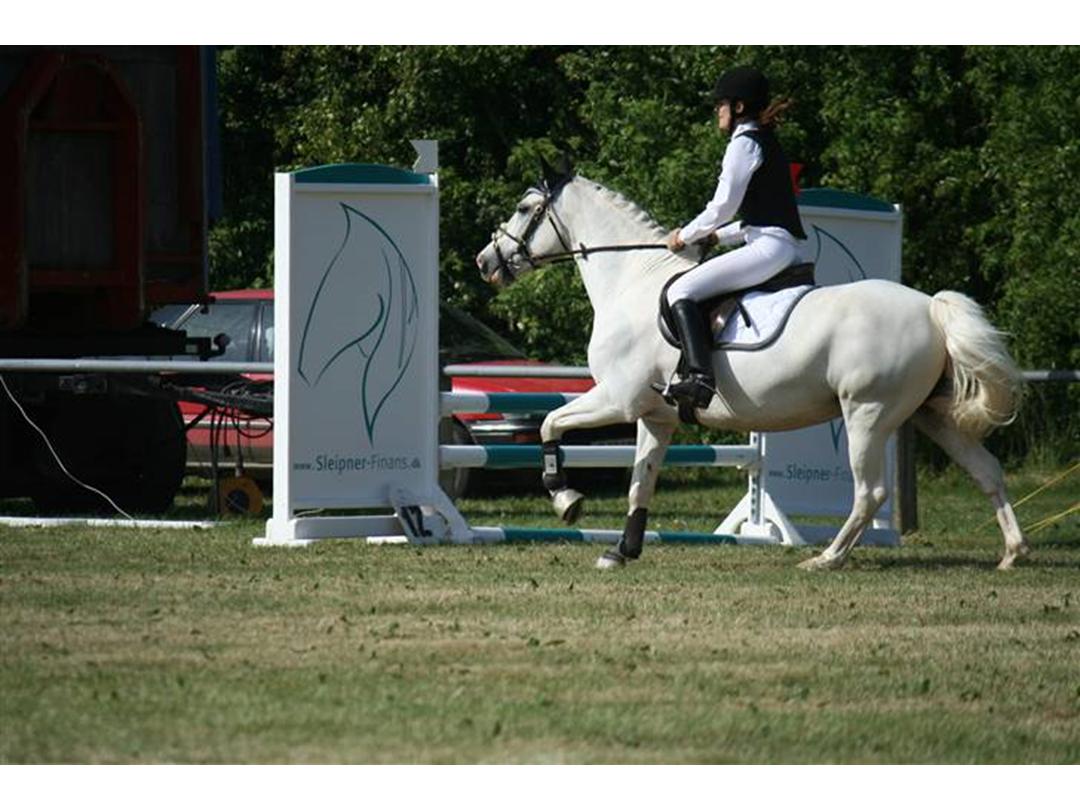 problem Prevail Margaret Mitchell Irsk Sportspony Idom Aadahls Quickstep - 1995 - Da jeg havde set Quick, var j... problem Prevail Margaret Mitchell Irsk Sportspony Idom Aadahls Quickstep - 1995 - Da jeg havde set Quick, var j...