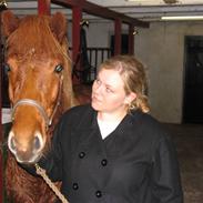 Islænder Hafdís fra Birkevang