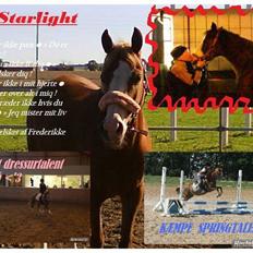 Welsh Pony (sec B) Starligth * R.I.P Savnet for evigt *