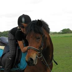 Anden særlig race Sheika Bahia