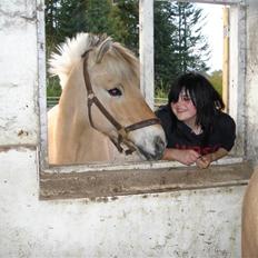 Fjordhest Bamse *RIP*