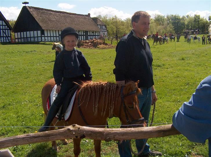 Shetlænder trille - mig og trille  billede 2