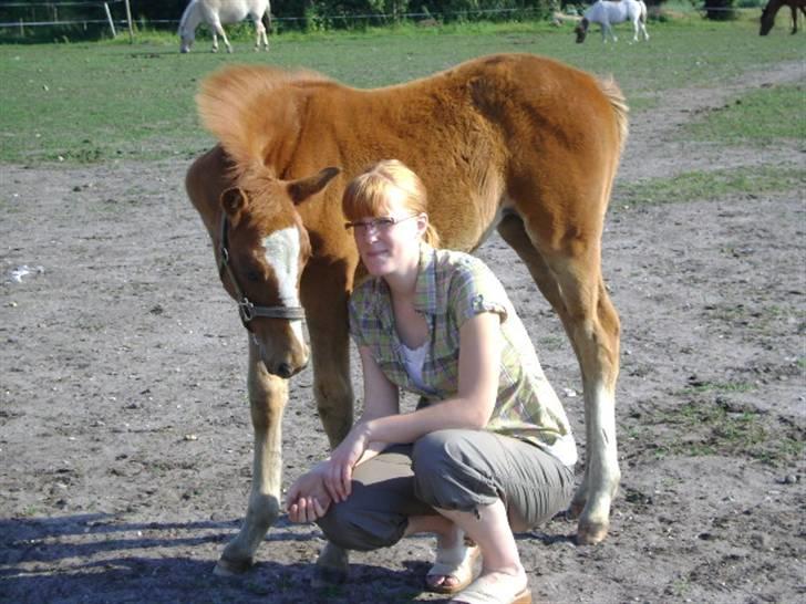 Anden særlig race First Trust (Tidl. hest) SOLGT - Mig og Trusti :-) billede 7