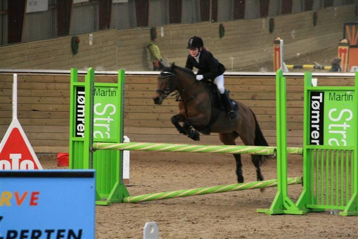 New Forest Fnuggi - Første dag Skovsbo rideklub :) billede 1