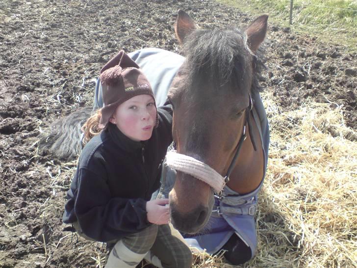 New Forest Fnuggi billede 3