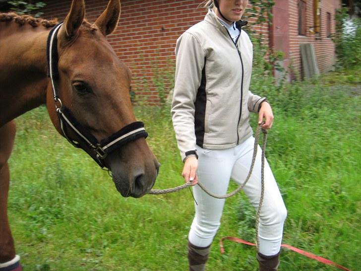 Pinto Coco Nyberg Solgt. billede 11