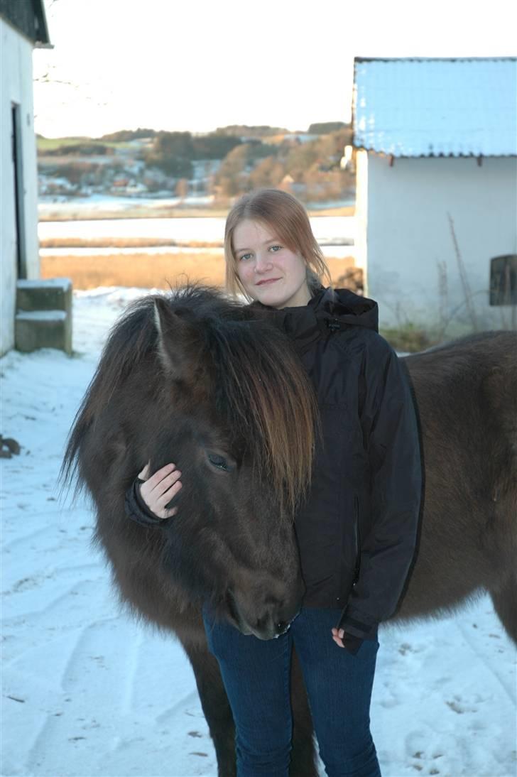 Islænder Móska frá Nylund - Vi var lige ude at hygge i sneen uden grime;D Foto: Mor. MÅ IKKE KOPIERES! billede 6