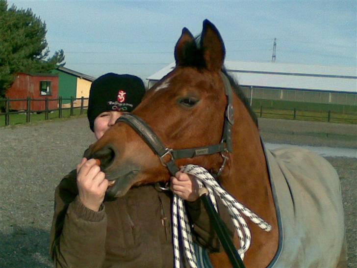 Anden særlig race Ryttergårdens Nika-SOLGT- - Vil du have et kys Bene? ;) billede 12