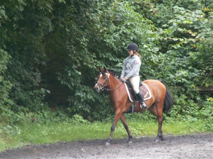 Anden særlig race Panick ( Solgt ) - R.I.P <3 - ». Panick & mig, da gamle ejer var og kigge til hende. billede 11