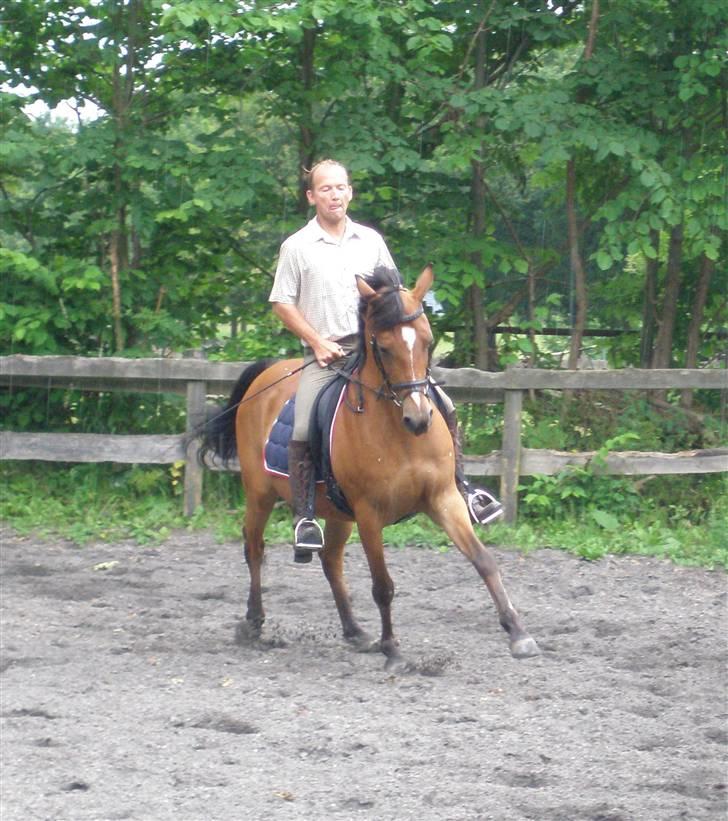 Anden særlig race Panick ( Solgt ) - R.I.P <3 - ». Panick & Flemming. Til undervisning da han skulle prøve hende første gang. billede 12