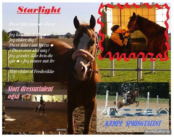 Welsh Pony (sec B) Starligth * R.I.P Savnet for evigt * - velkommen til Starlights pfofil billede 1