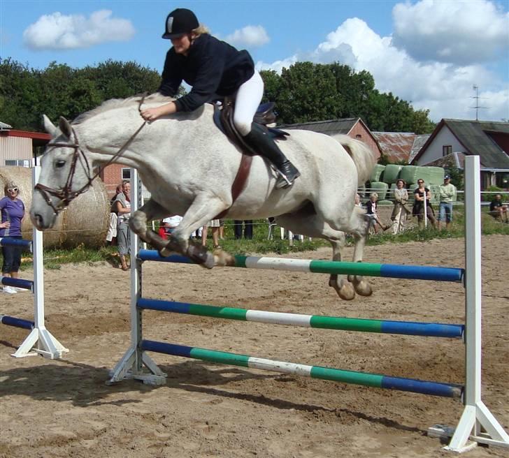 Dansk Varmblod Lamborghini solgt - sponsorspring - 1.20 billede 15