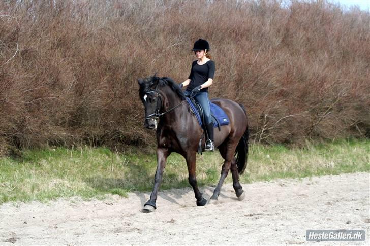 Anden særlig race Buddy  - Velkommen til Buddy´s profil .. læg gerne en kommentar :D billede 2