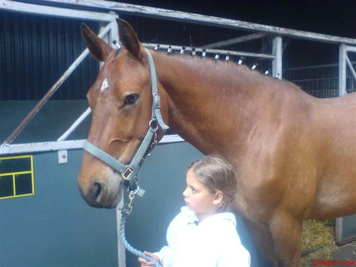 Oldenborg Elvina (Marmelade) - Marmelade og min datter billede 2