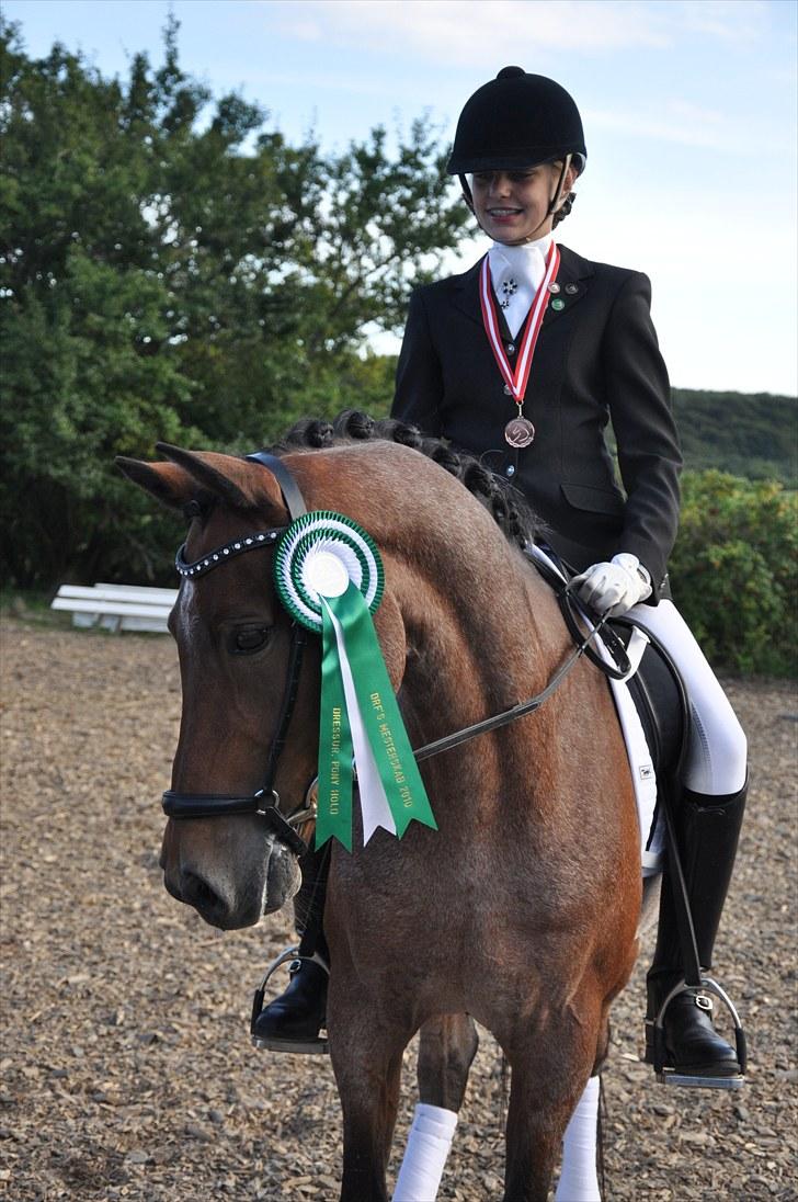 Welsh Partbred (Sec F) Marieton's Sanssousi - 8. DM-hold i Frederikshavn hvor vi vandt BRONZE.. :DDDD billede 12