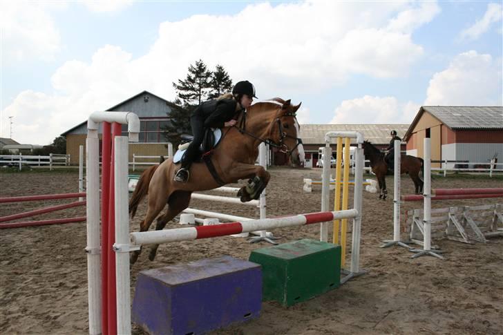 Anden særlig race Lyngholm's Blazie Solgt  - Blazie og jeg springer 1 meter <3 Foto: Helene billede 2