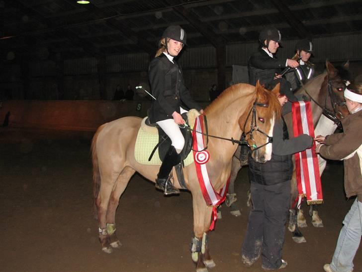 Anden særlig race Lyngholm's Blazie Solgt  - Vinder af holdcuppen (: billede 5