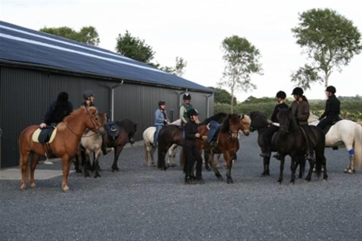 Islænder Vikingur fra Sejershøj - d.1 Juli 08 Fællestur ialt 17 ryttere,... billede 5