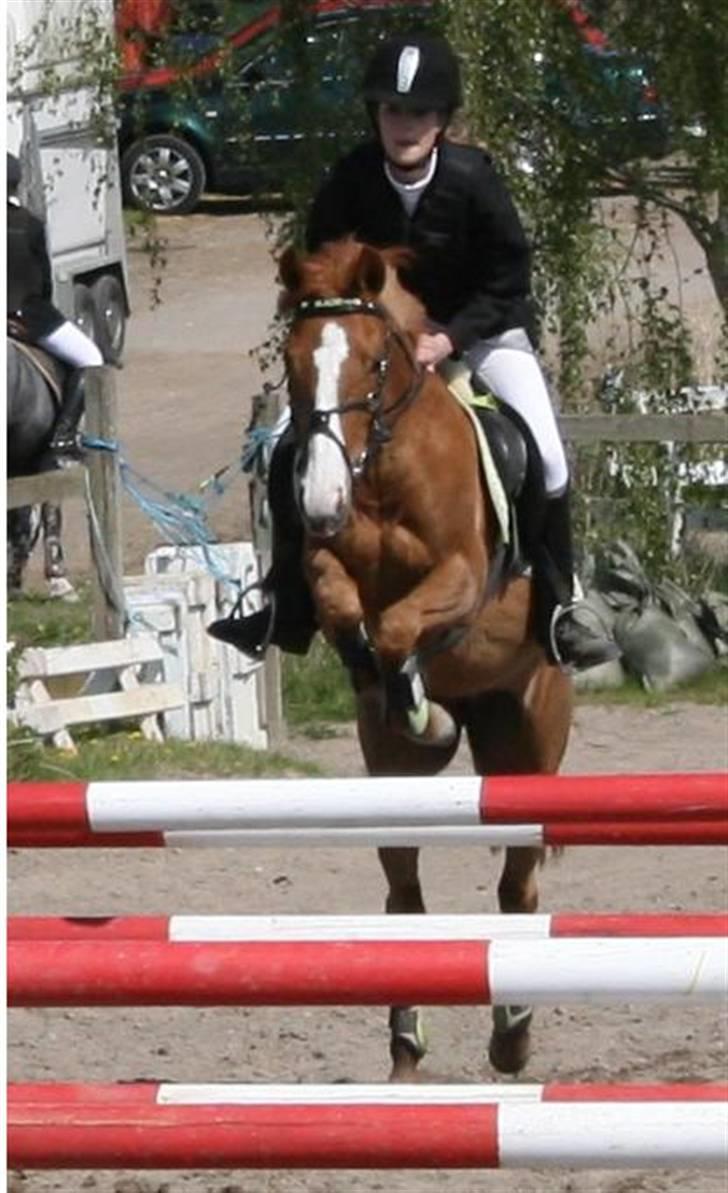 Anden særlig race Lyngholm's Blazie Solgt  - Blazie og jeg i en LB på VEK. Foto: Helenes far billede 9