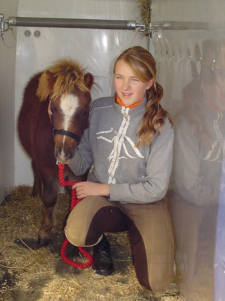 Shetlænder KJÆRSGAARDS AMINA - Amina ser sit nye hjem an:) Efterårsferien 2007.. billede 10