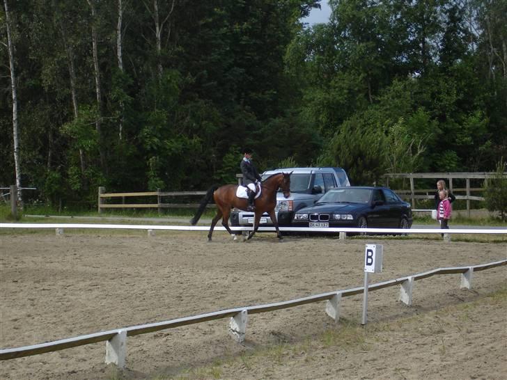 Hollandsk Sportspony Orchid´S Paxton <B-pony> - Dressur i Broust billede 17