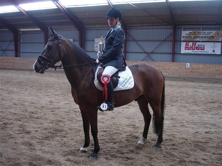 Hollandsk Sportspony Orchid´S Paxton <B-pony> billede 18