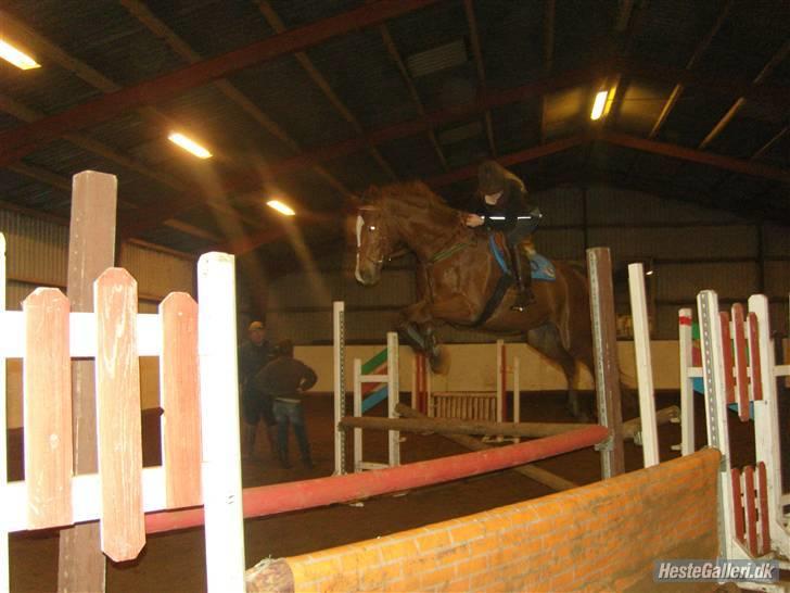 Dansk Varmblod Maywind Lafreja *RIP <3* - Springe kan min lille hest sku os <3 billede 8