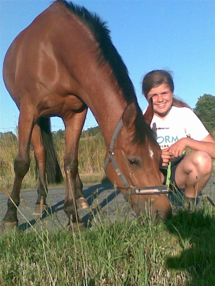 Anden særlig race Ryttergårdens Nika-SOLGT- - jeg elsker græs.................. billede 13