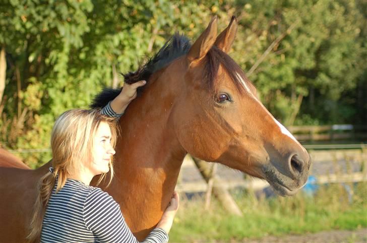 Anden særlig race Panick ( Solgt ) - R.I.P <3 - ». Panick & mig, en sommeraften. billede 15