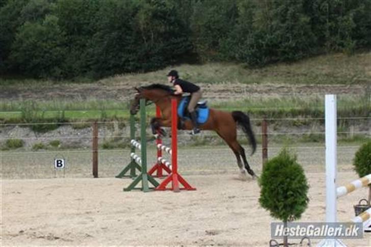 Hollandsk Sportspony - Loyce <3 - loyce og charlotte som er hendes nye ejer :D billede 5