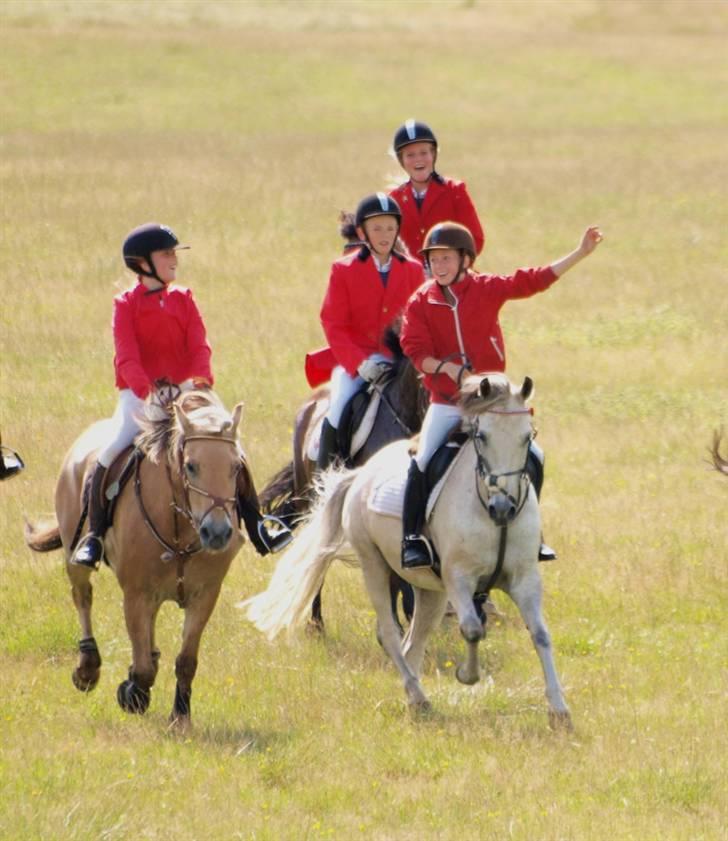 Anden særlig race Clinton [solgt] - Jagt i dyrehaven. Vi fuldførte billede 6