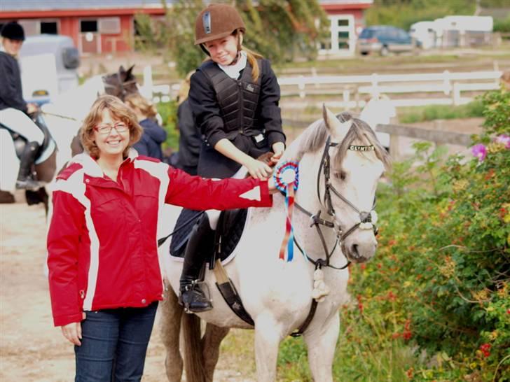 Anden særlig race Clinton [solgt] - Til stævne på VEK billede 10