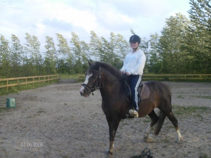 DSP Rødtjørns Indira. (solgt) - Mig og Indira :D billede 14