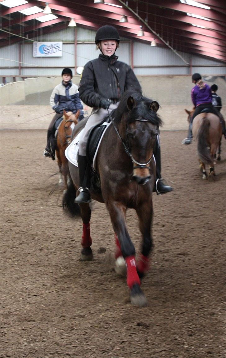 Anden særlig race Bakkelys Felur *Solgt* billede 6