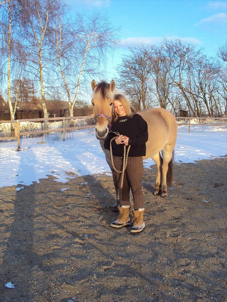 Fjordhest Aron - Mig og Aron:* elsker ham!<3 billede 8