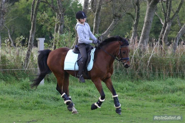 Anden særlig race Sheika Bahia - Mig&Mulen i Galop (: Gammelt :) billede 11