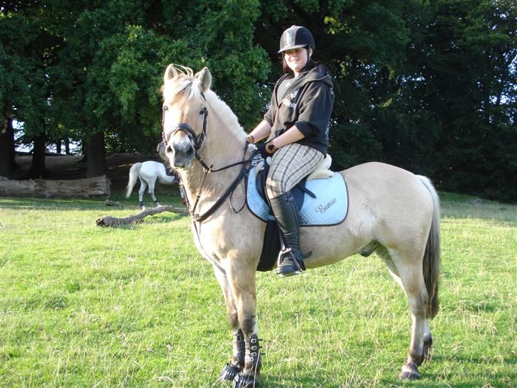 Fjordhest Bamse *RIP* - Bag Erimitage slottet... med vind i håret xD billede 4