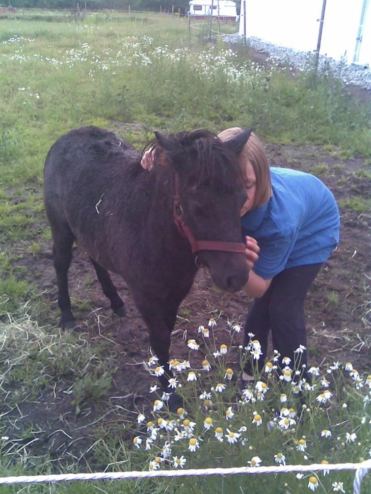 Anden særlig race Mille *SOLGT* - mille elsker line og line elsker mille. billede 7