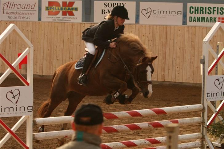 DSP Kavsgaards Belinka BSDH - LB i Frederikshavn :D xD Fotograf: Sandra Buus (Sipo Foto) billede 6