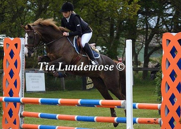 DSP Kavsgaards Belinka BSDH - LB kallehavegård :-) billede 10