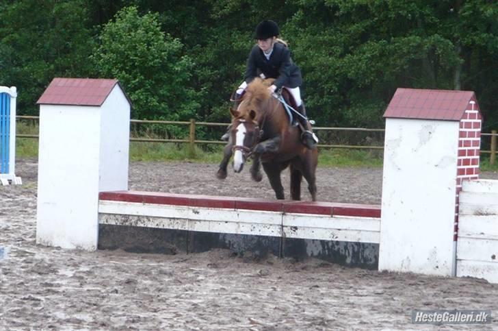 DSP Kavsgaards Belinka BSDH - Mur for første gang i st. restrup <3 billede 13