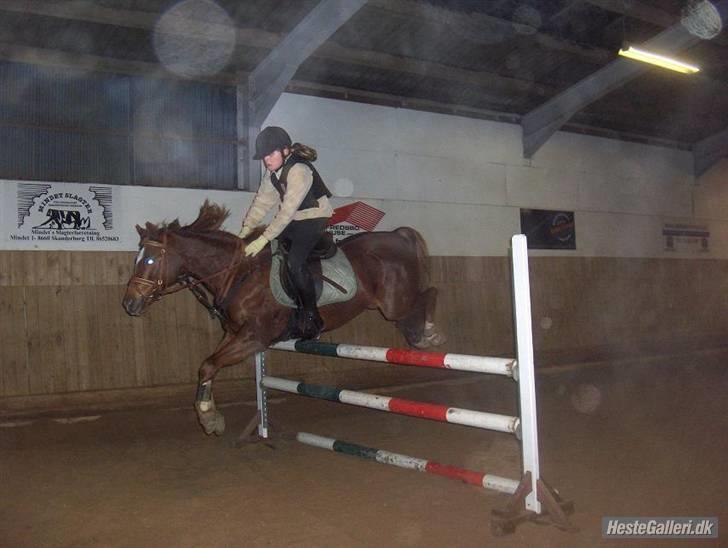 Tysk Sportspony Magic Unit - Her springer vi ca. 1 m. <33 xD Elsker bare den pony <333 han er så dygtig <333333 billede 20